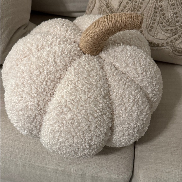 Pottery Barn Ivory Pumpkin Pillow - Picture 6 of 8